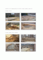 비오톱(Biotope) 15페이지