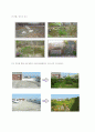 비오톱(Biotope) 16페이지