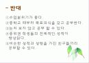 고교평준화 12페이지