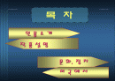 James Fenimore Cooper 2페이지
