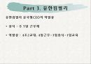 역발상마케팅성공사례 14페이지