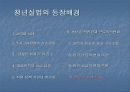 청년실업 4페이지