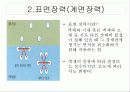 아세톤과 물의 표면장력 측정 3페이지