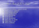미국의 통상정책 3페이지
