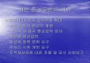 미국의 통상정책 11페이지