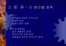 인터넷 중독 7페이지