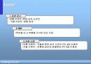현대자동차 투싼의 판매 촉진 전략 29페이지
