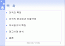해외광고 연구-미국광고 2페이지