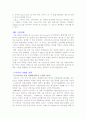 '스카이'의 차별화 마케팅 2페이지