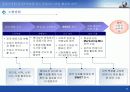 현대상선 중동지역 컨네이너 영업 활성화 방안 6페이지