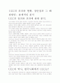 [우수 평가 자료]UCC의 의의와 현황, 장단점과 그 해결방안- 총체적인 분석 2페이지