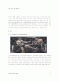 이종격투기 5페이지