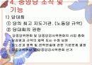 [PPT자료] 북한의 '당' 11페이지