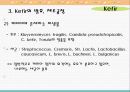 발효버터와 Kefir 28페이지