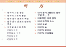 태국의 음식 문화 2페이지