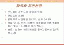 태국의 음식 문화 3페이지