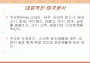 태국의 음식 문화 12페이지