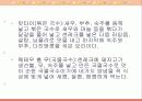 태국의 음식 문화 14페이지