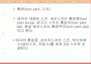 태국의 음식 문화 15페이지