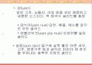 태국의 음식 문화 17페이지