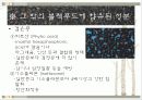 블랙푸드 8페이지