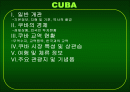 쿠바와 베네수엘라 상관습 제도 및 주요나라 정보에 대하여 2페이지