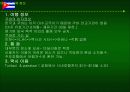 쿠바와 베네수엘라 상관습 제도 및 주요나라 정보에 대하여 12페이지