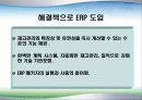 경영정보시스템(ERP-NDI) 5페이지