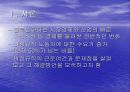 우리나라 비정규직의 실태 3페이지