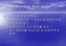 우리나라 비정규직의 실태 18페이지