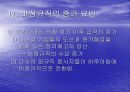 우리나라 비정규직의 실태 20페이지