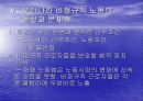 우리나라 비정규직의 실태 21페이지