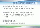 UN평화유지군과 현실주의 6페이지