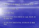 멀티미디어를 활용한 국어교육PPT 3페이지