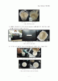Slip casting(주입성형) 11페이지