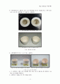 Slip casting(주입성형) 12페이지