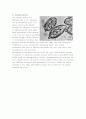 생물 Report - parts of fungus , asexual spores 3페이지