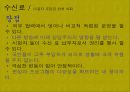 대중매체 TV의 모든것 14페이지
