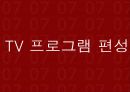 대중매체 TV의 모든것 58페이지