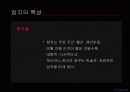 대중매체 잡지에 대하여 33페이지