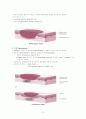 창상치유(Wound Healing) 4페이지
