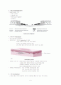 창상치유(Wound Healing) 5페이지