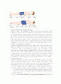 욕창에 대한 이해 3페이지