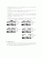 욕창에 대한 이해 5페이지