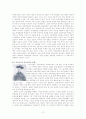 외국인의 시각에서 본 조선- 알렌의 조선견문기를 중심으로 12페이지