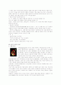 제품디자인 전략의 분석 3페이지