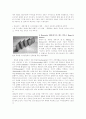 디자인경영 조직 성공사례와 기업의 제품디자인 성공사례 16페이지