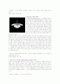 디자인경영 조직 성공사례와 기업의 제품디자인 성공사례 17페이지