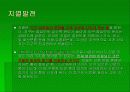 대체에너지 현황 및 기술전망 9페이지