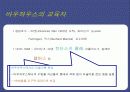 바우하우스의 이해와 영향에 대한 분석 14페이지